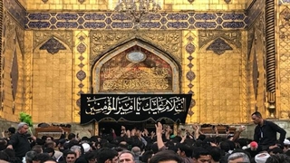 نجف در آستانه اربعین؛ از شور خدمت تا اشتیاق زیارت