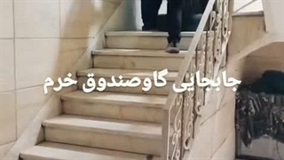 حمل گاوصندوق خرم از راه‌پله