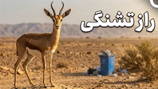 چطور ۳ ماه بدون آب زنده می ماند؟