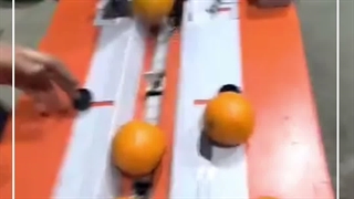 دستگاه بسته بندی پرتقال